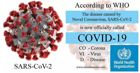 图片引自：https：//thebiologynotes.com/2019-ncov-covid-19/