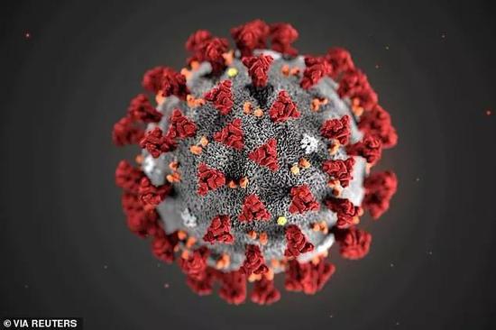  图片说明：Pictured， an illustration of the SARS-CoV-2 virus released by the US Centers for Disease Control and Prevention